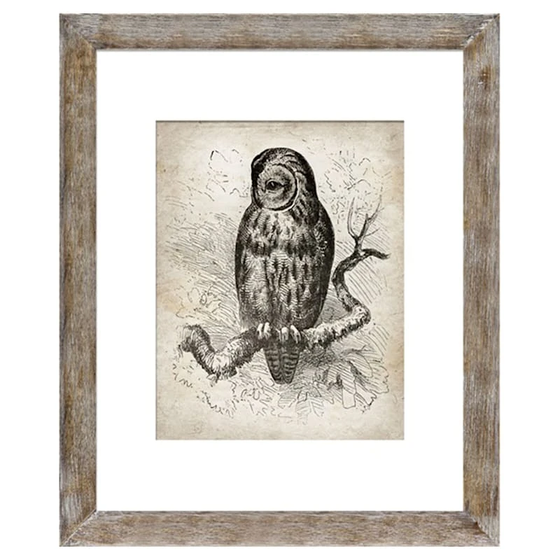 16x20 Matted To 11x14 Wall Frame, Listoni Brown 3 16x20 Matted To 11x14 Wall Frame, Listoni Brown