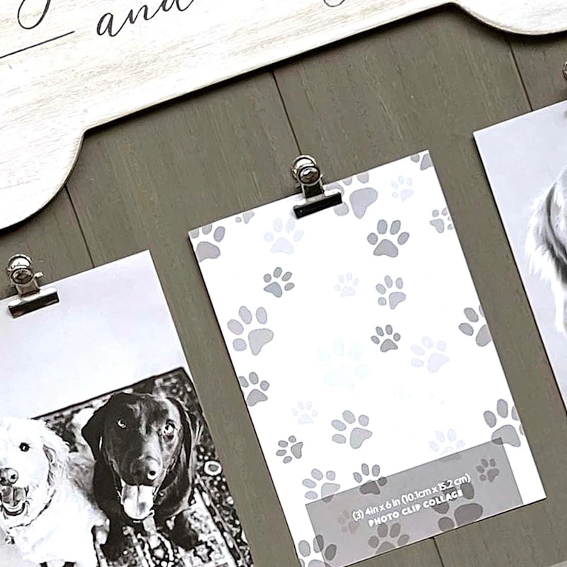 3-Clip Gray All You Need Is Love & A Dog Collage, 15.5x 17.2 4 3-Clip Gray All You Need Is Love & A Dog Collage, 15.5x 17.2 - Image 2